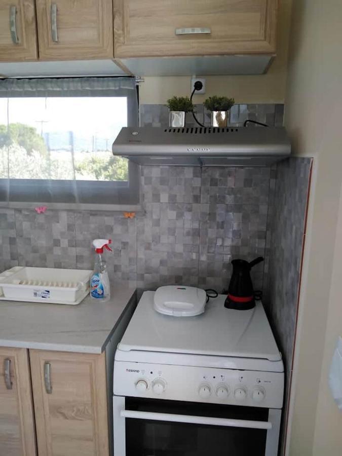 Iro-Kostas House 2 Lejlighed Dhrosiá Eksteriør billede